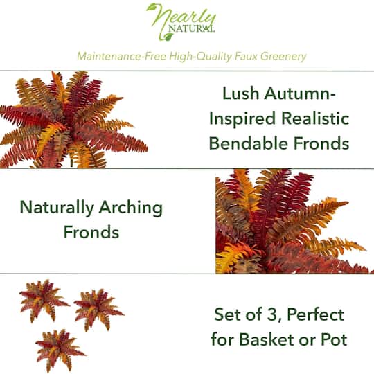 20" Autumn Boston Fern Bush, 3ct.